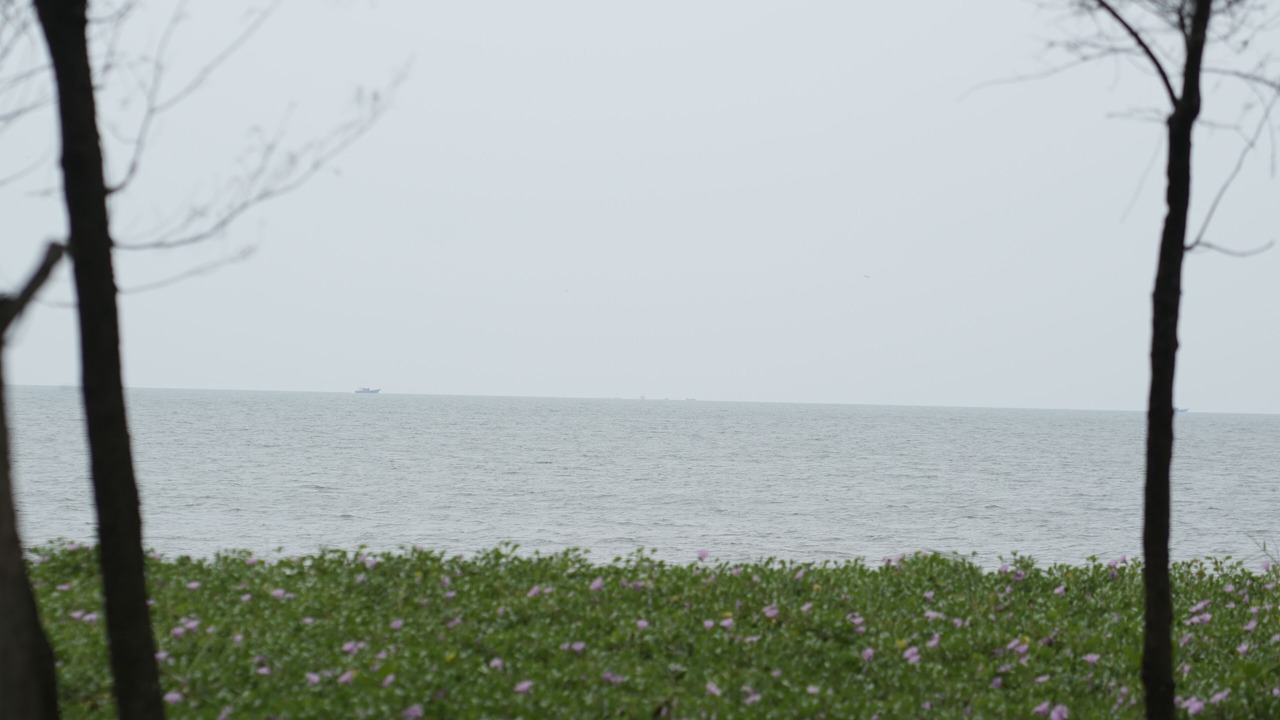 Photo of Others in Vypin