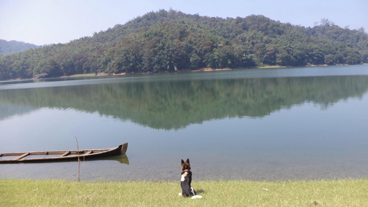Photo of Outdoor in Rajakkad