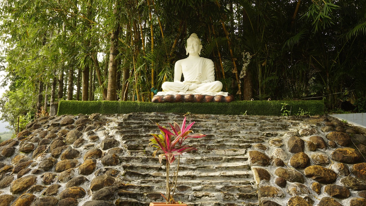 Photo of Outdoor in Chikkamagaluru