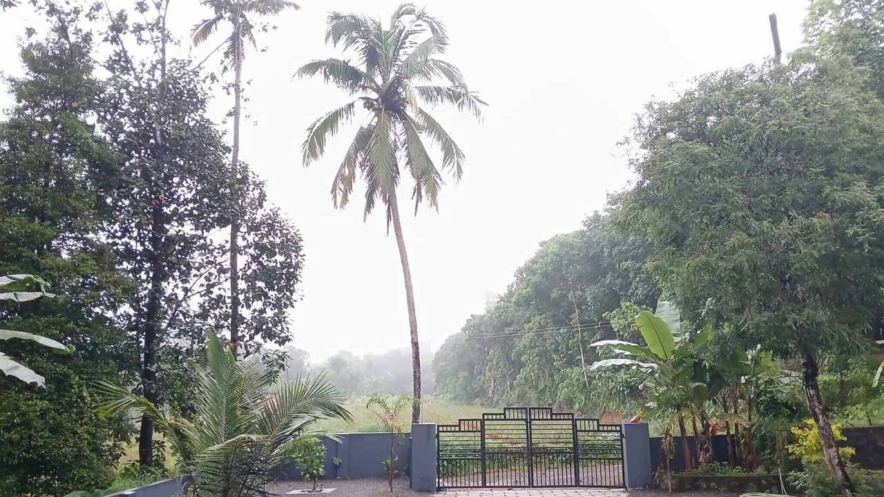 Photo of Outdoor in Muvattupuzha