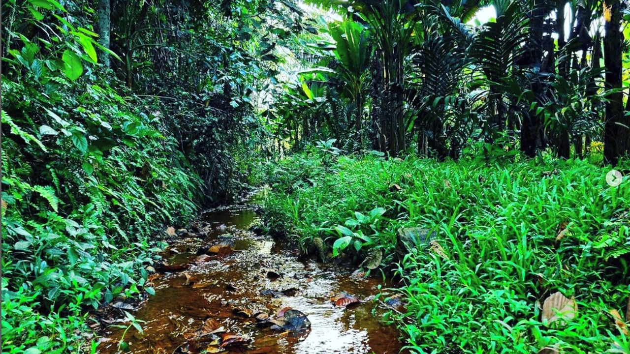 Photo of Outdoor in Muvattupuzha