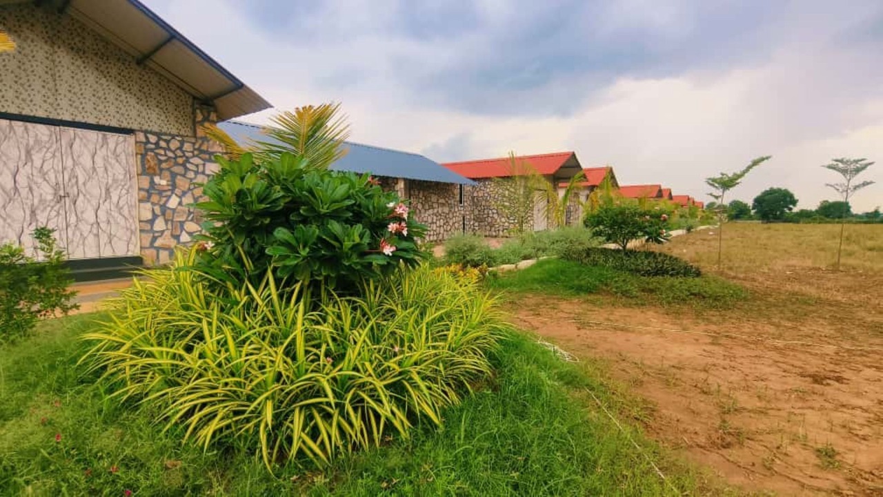 Photo of Outdoor in Waghoriya