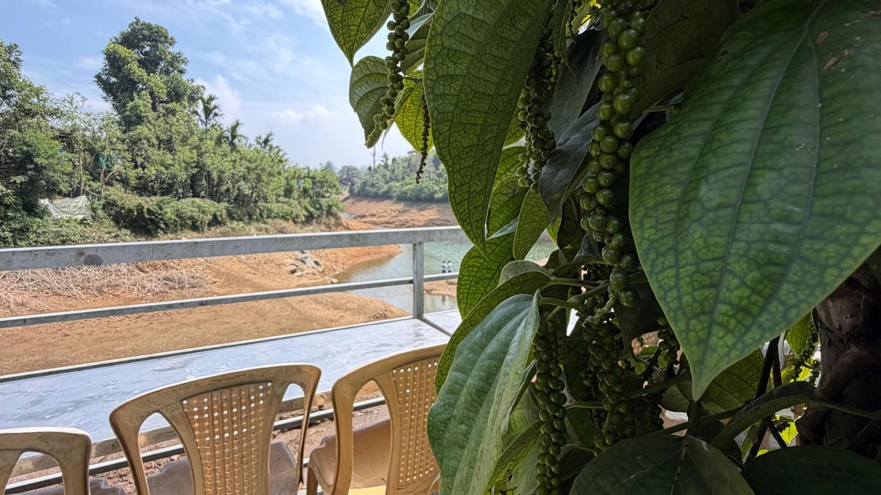 Photo of Outdoor in Valparai