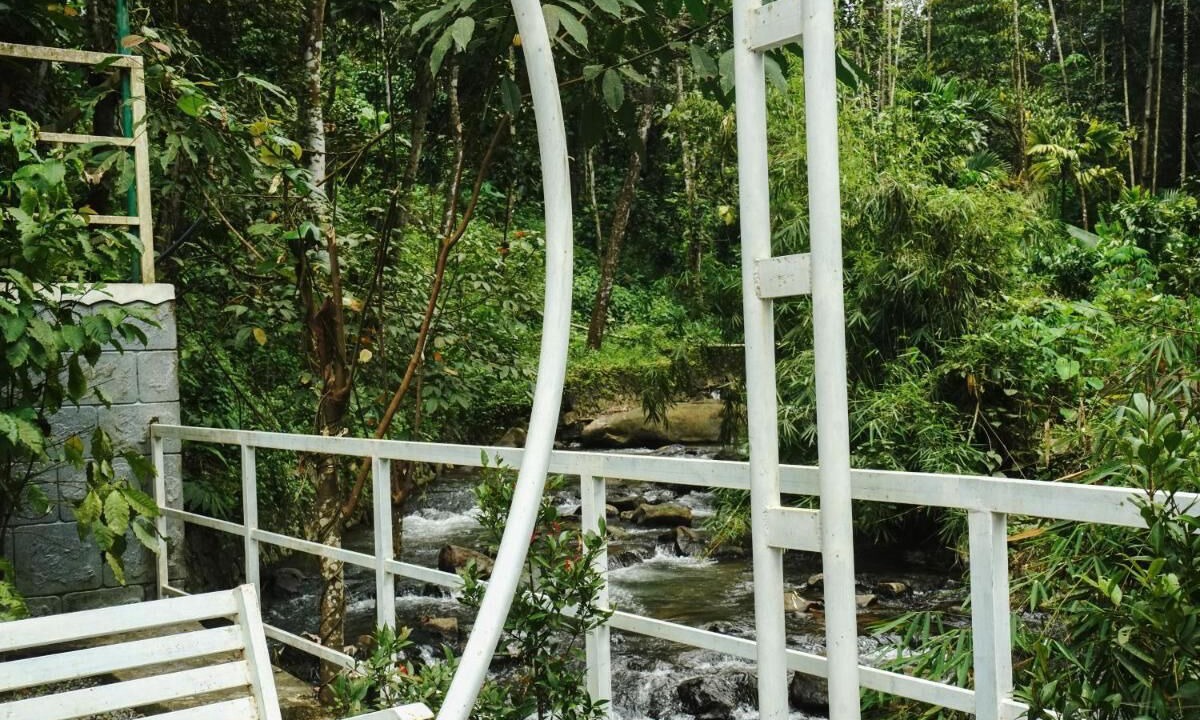 Photo of Outdoor in Lakkidi
