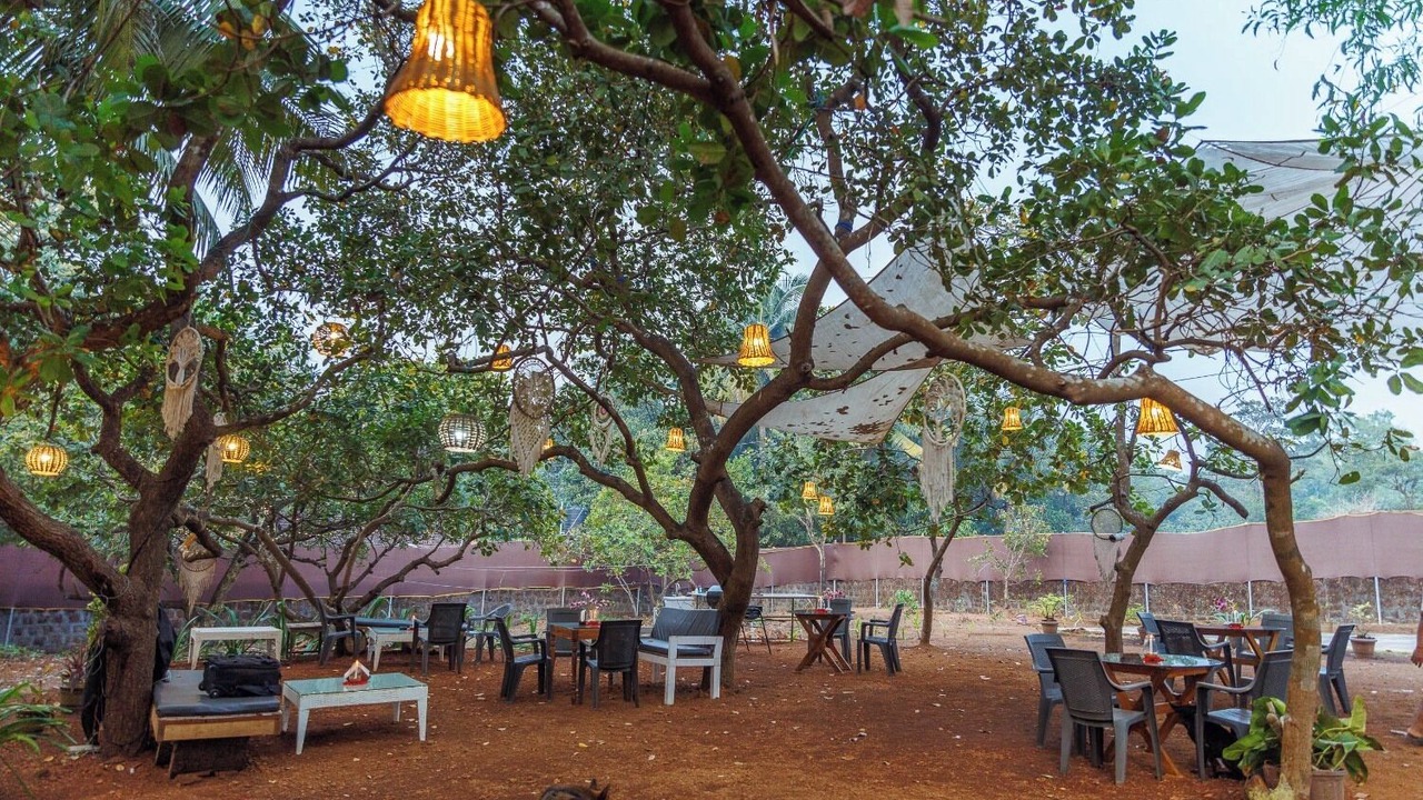 Photo of Outdoor in Agonda