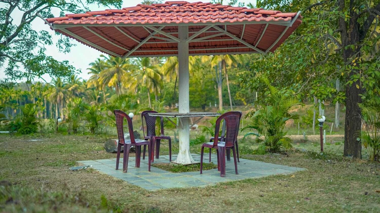 Photo of Outdoor in Dandeli