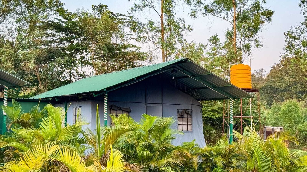 Photo of Outdoor in Dandeli