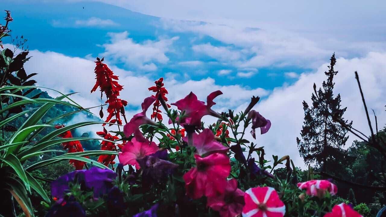 Photo of Outdoor in Turuk
