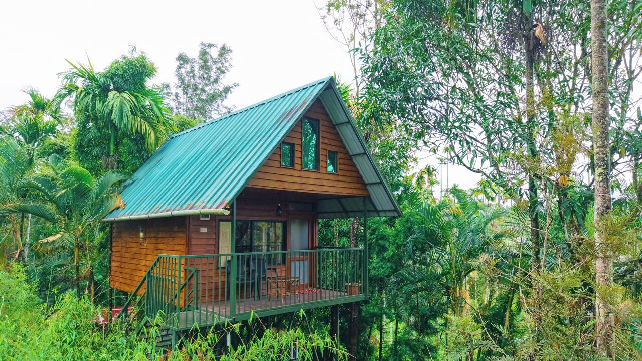 Photo of Outdoor in Sulthan Bathery
