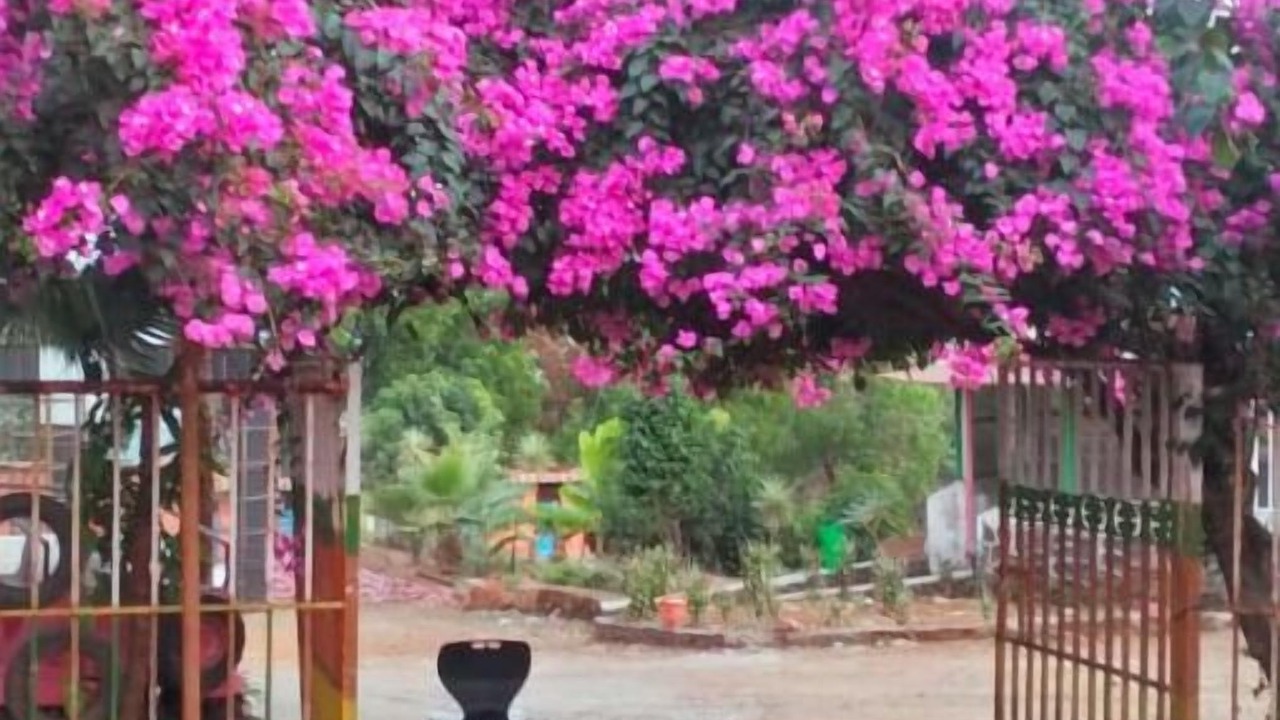 Photo of Outdoor in Kambare