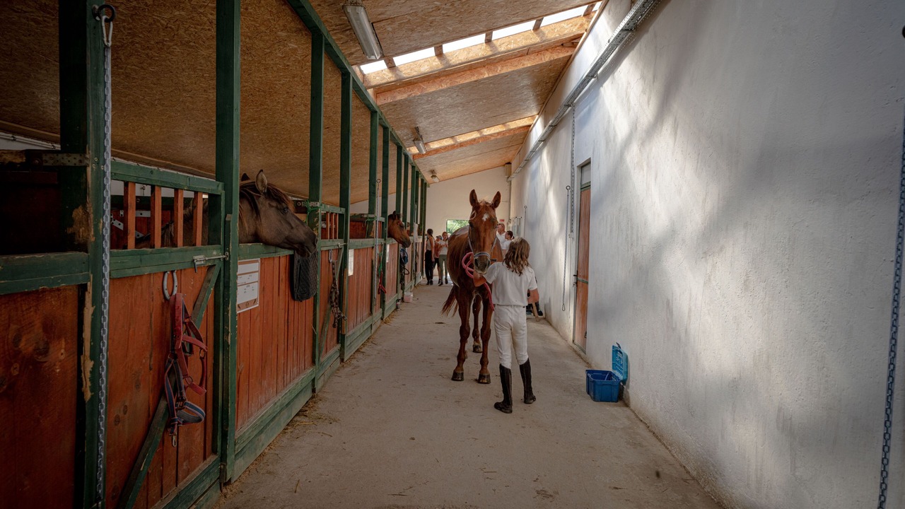 Photo of Others in Sacel