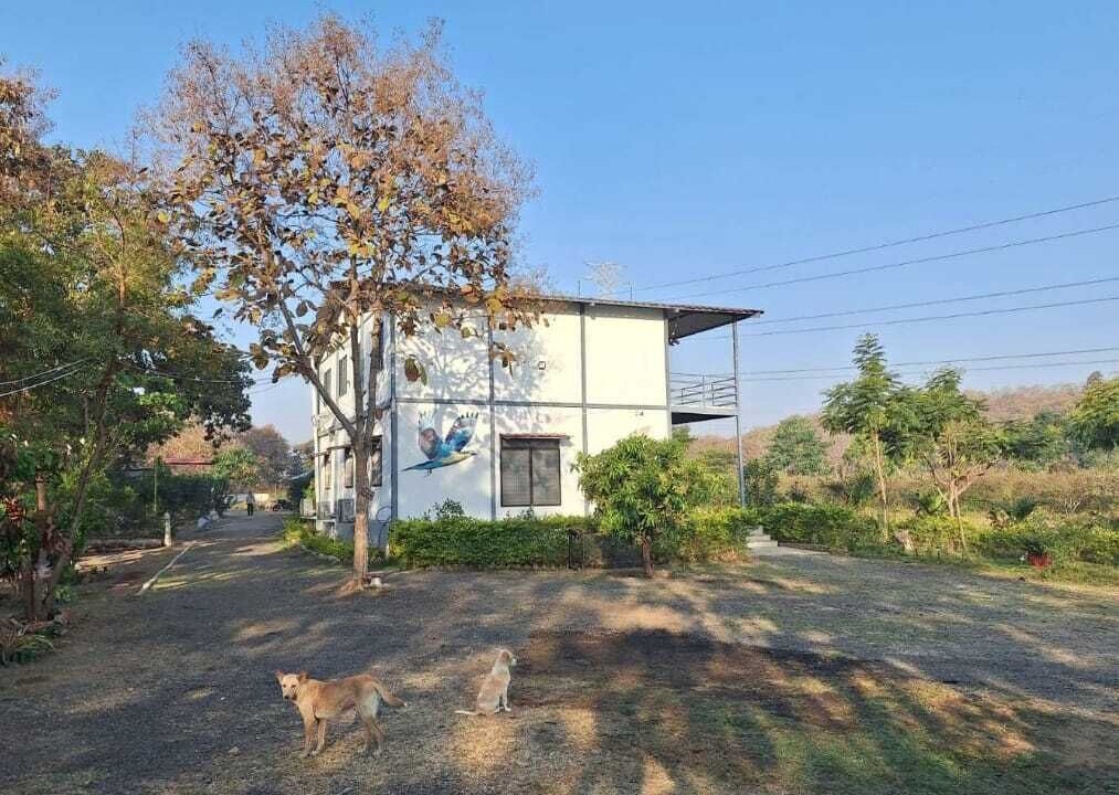 Photo of Outdoor in Ghatanji