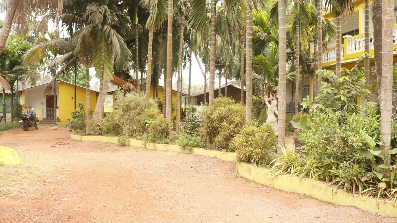 Photo of Outdoor in Arambol