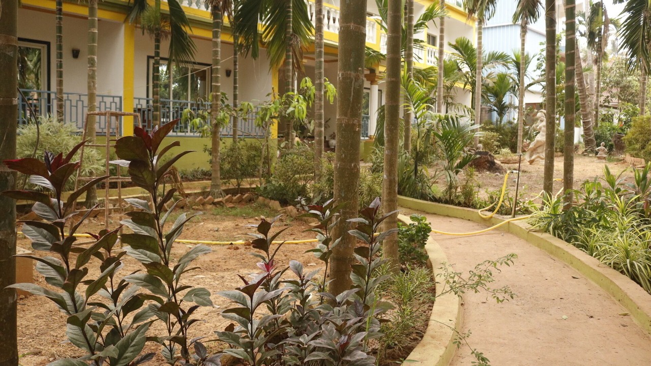 Photo of Outdoor in Arambol