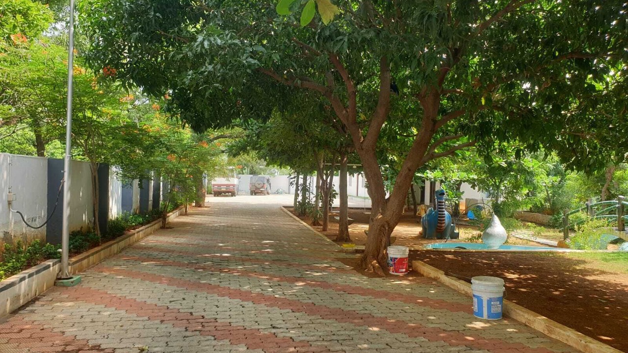 Photo of Outdoor in Panagudi