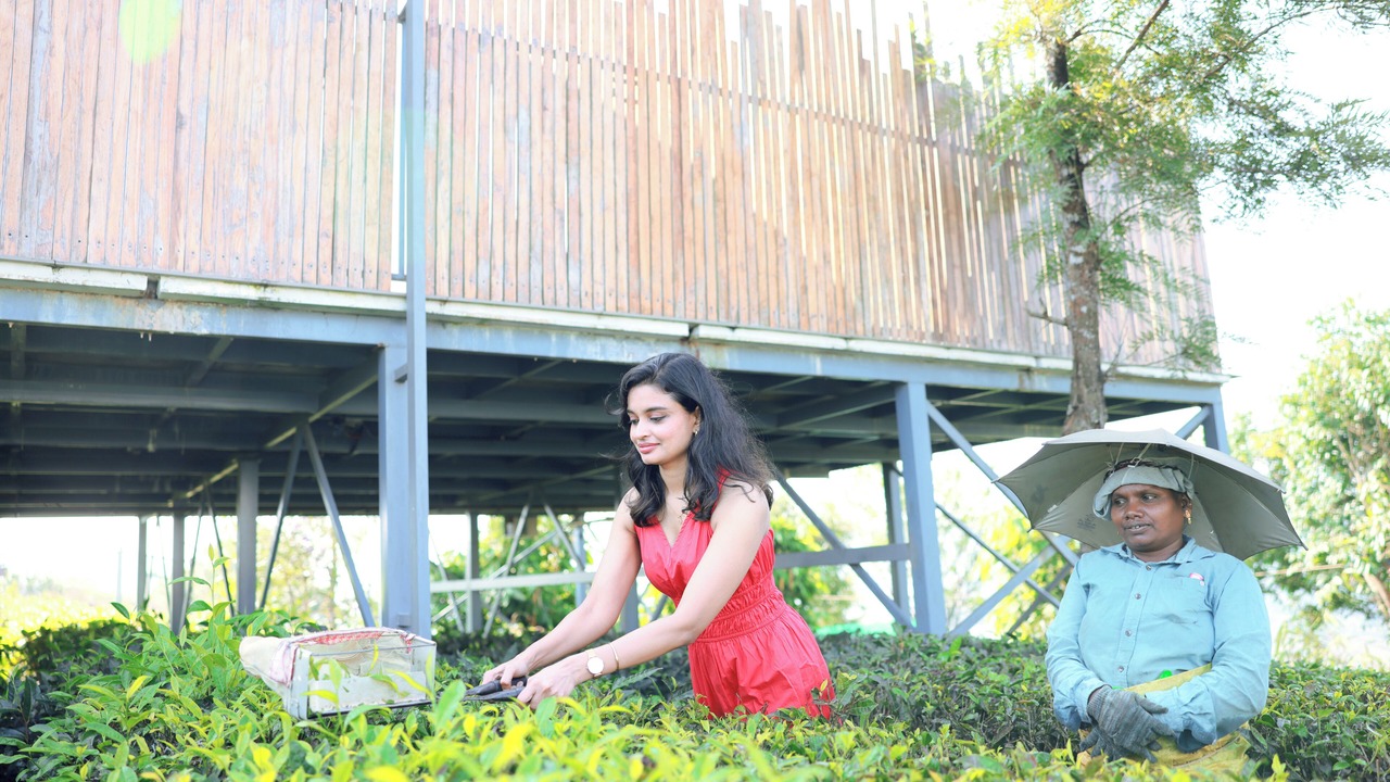 Photo of Outdoor in Elappara