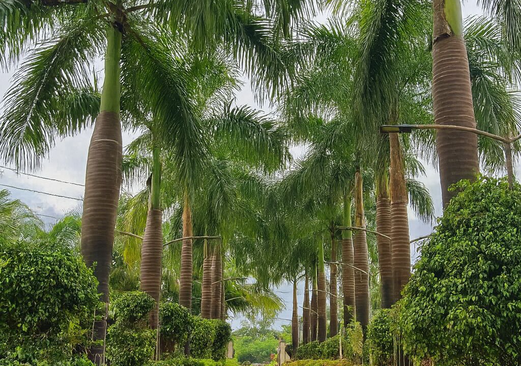 Photo of Outdoor in Neral