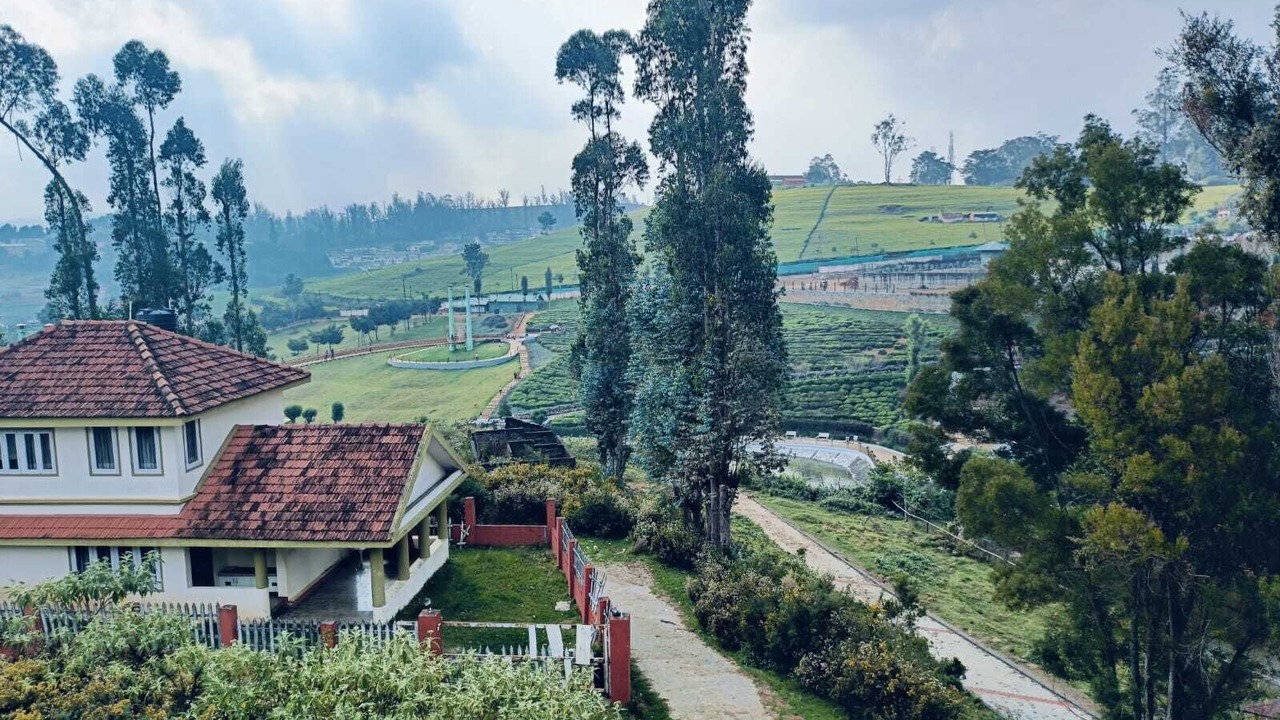 Photo of Outdoor in Fern Hill