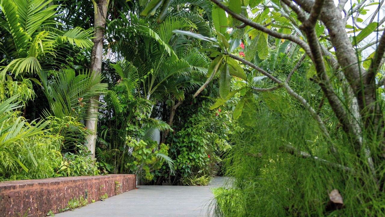 Photo of Outdoor in Mapusa