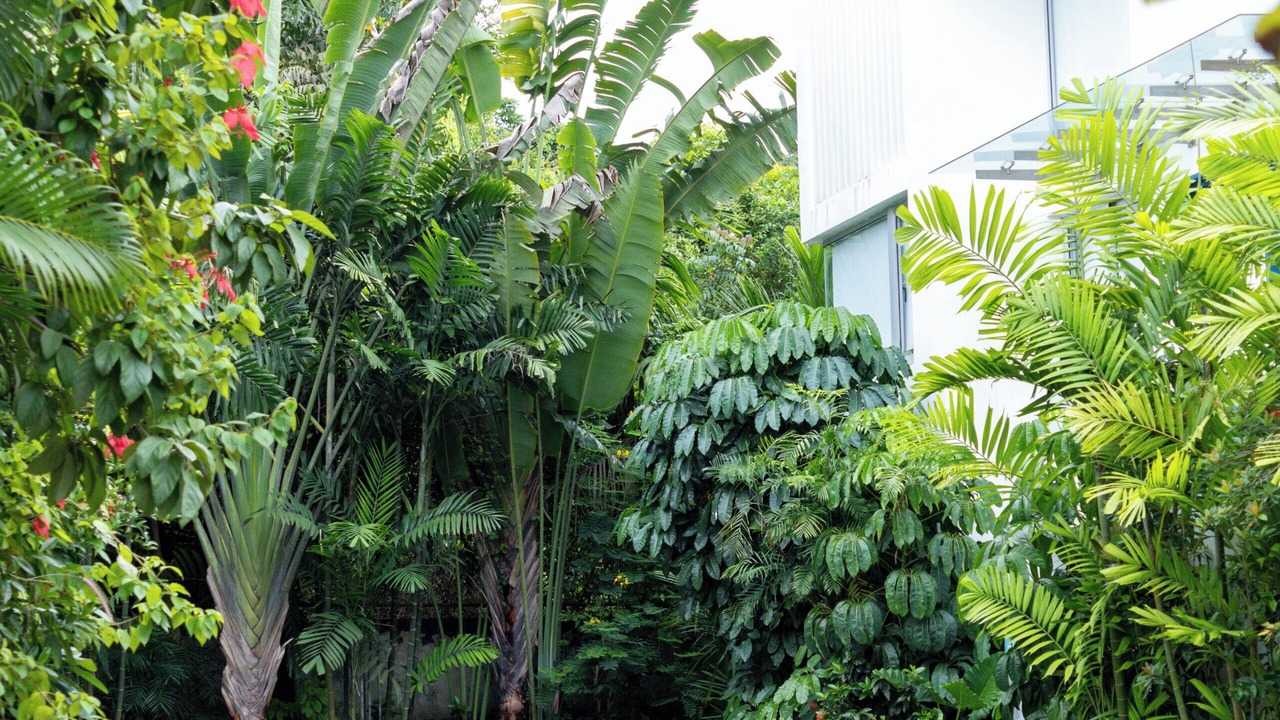 Photo of Outdoor in Mapusa