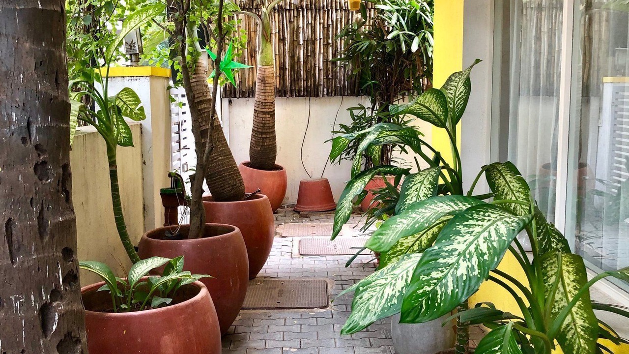 Photo of Patio Balcony in Mylapore Tiruvallikk