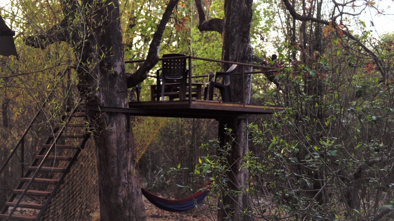 Photo of Outdoor in Kohka