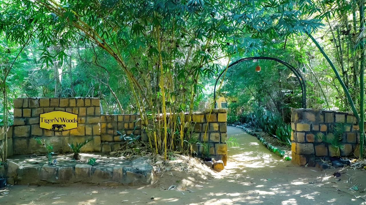 Photo of Outdoor in Kohka