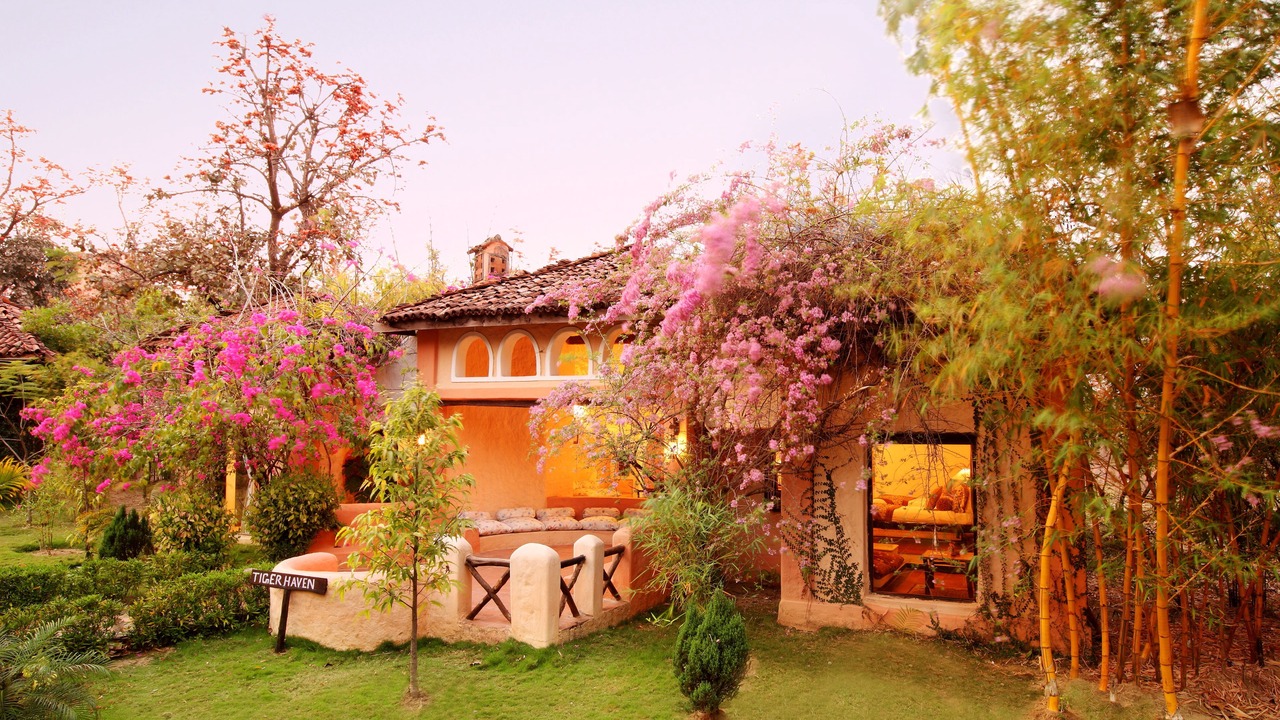 Photo of Outdoor in Mocha