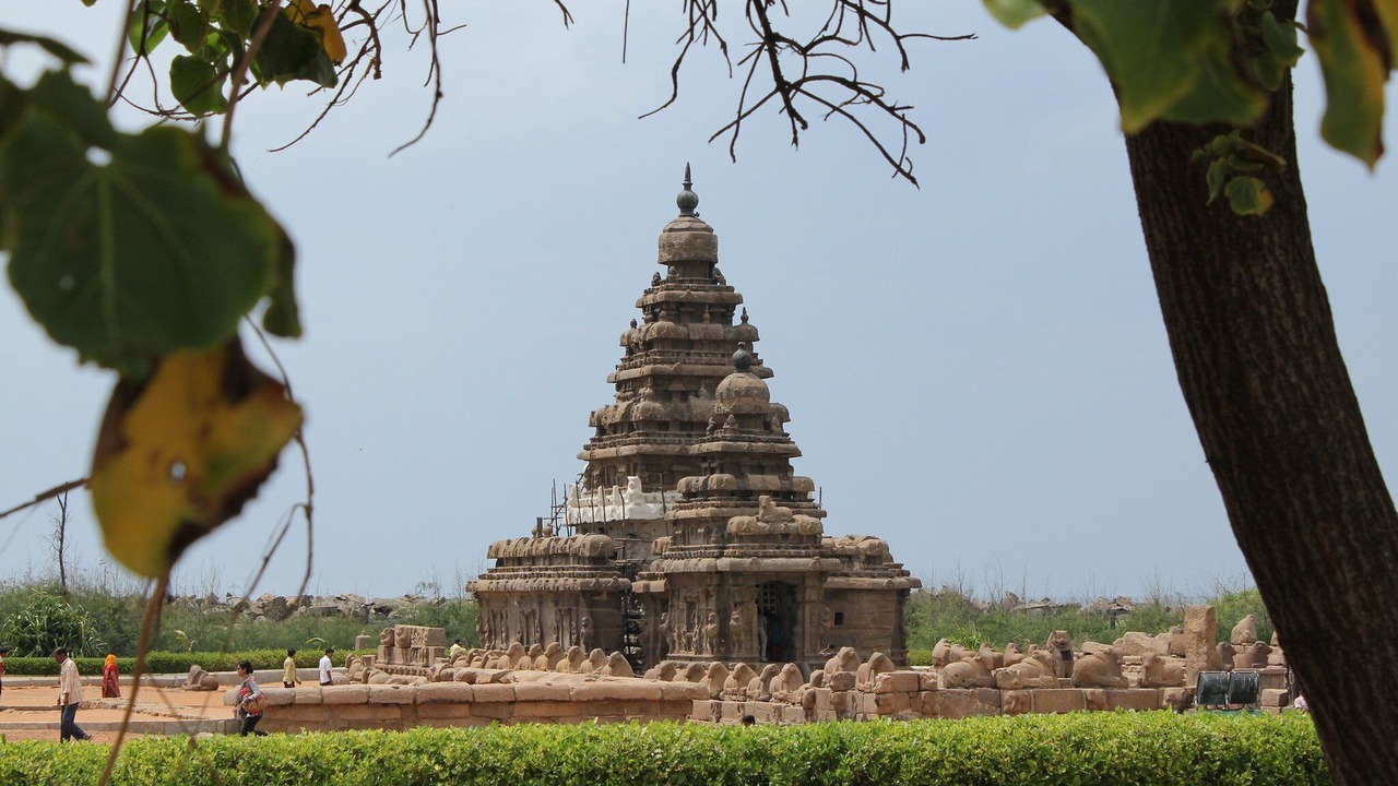 Photo of Others in Sholinganallur