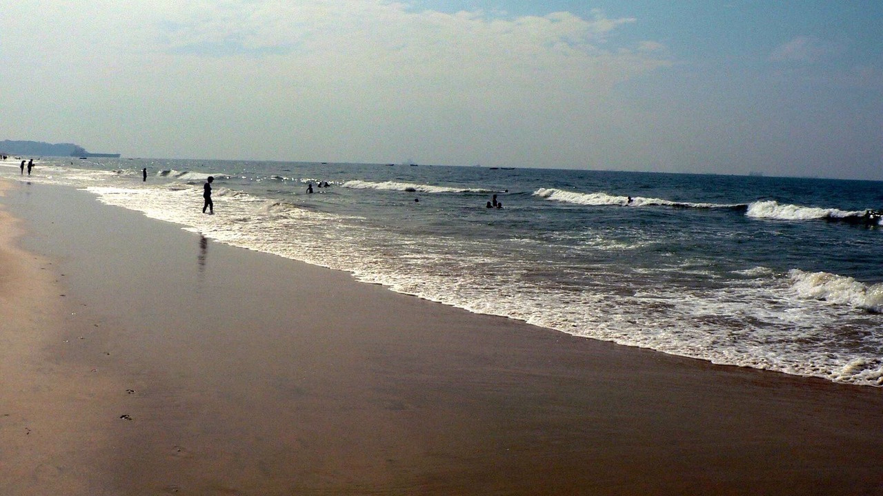 Photo of Others in Sholinganallur