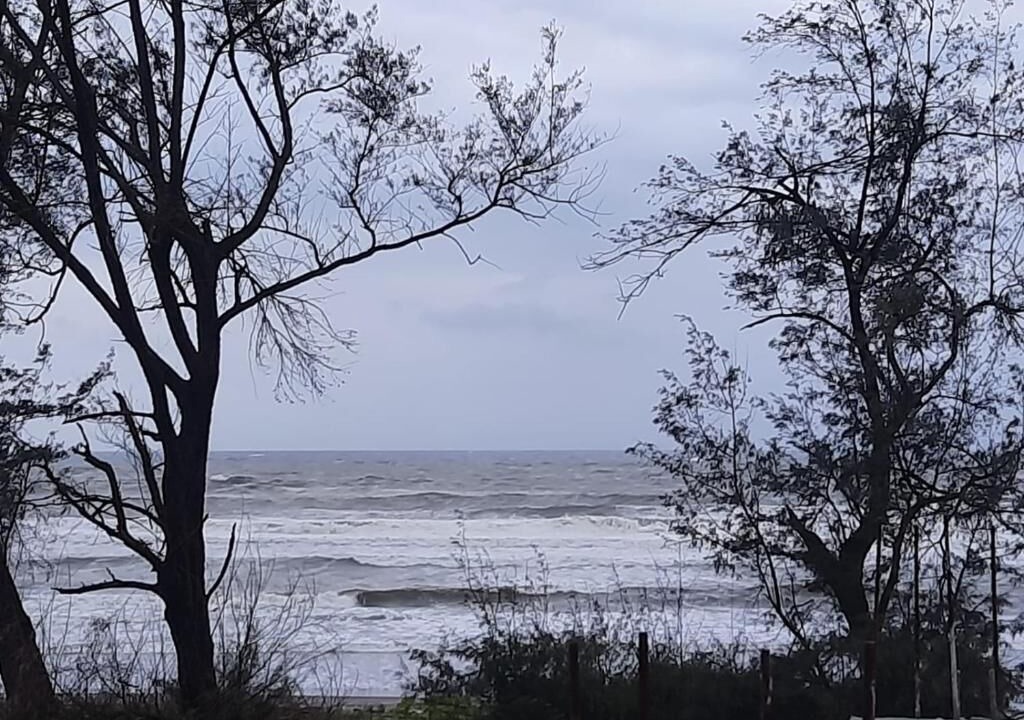 Photo of Others in Malvan