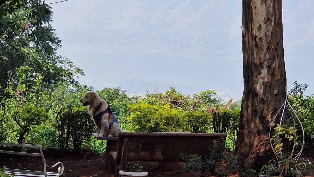 Photo of Outdoor in Panchgani