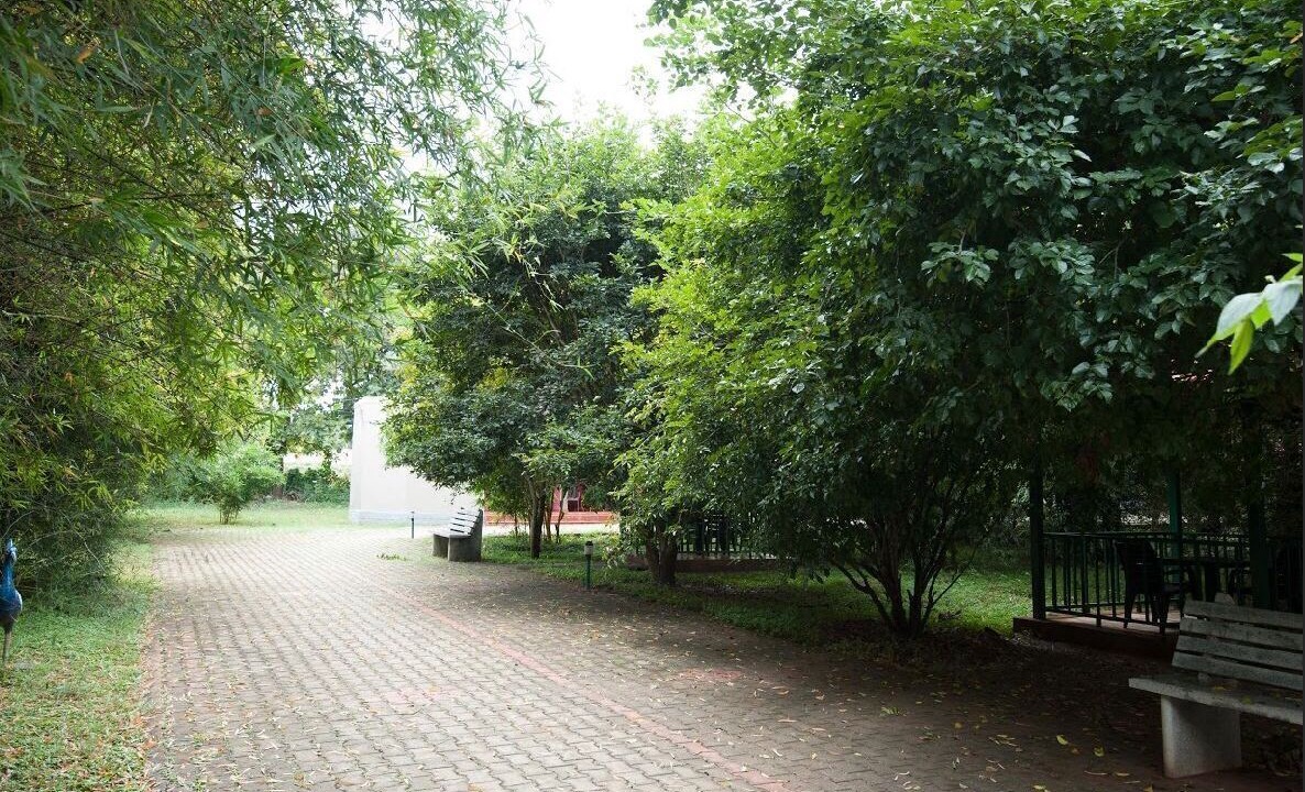 Photo of Outdoor in Bandipur