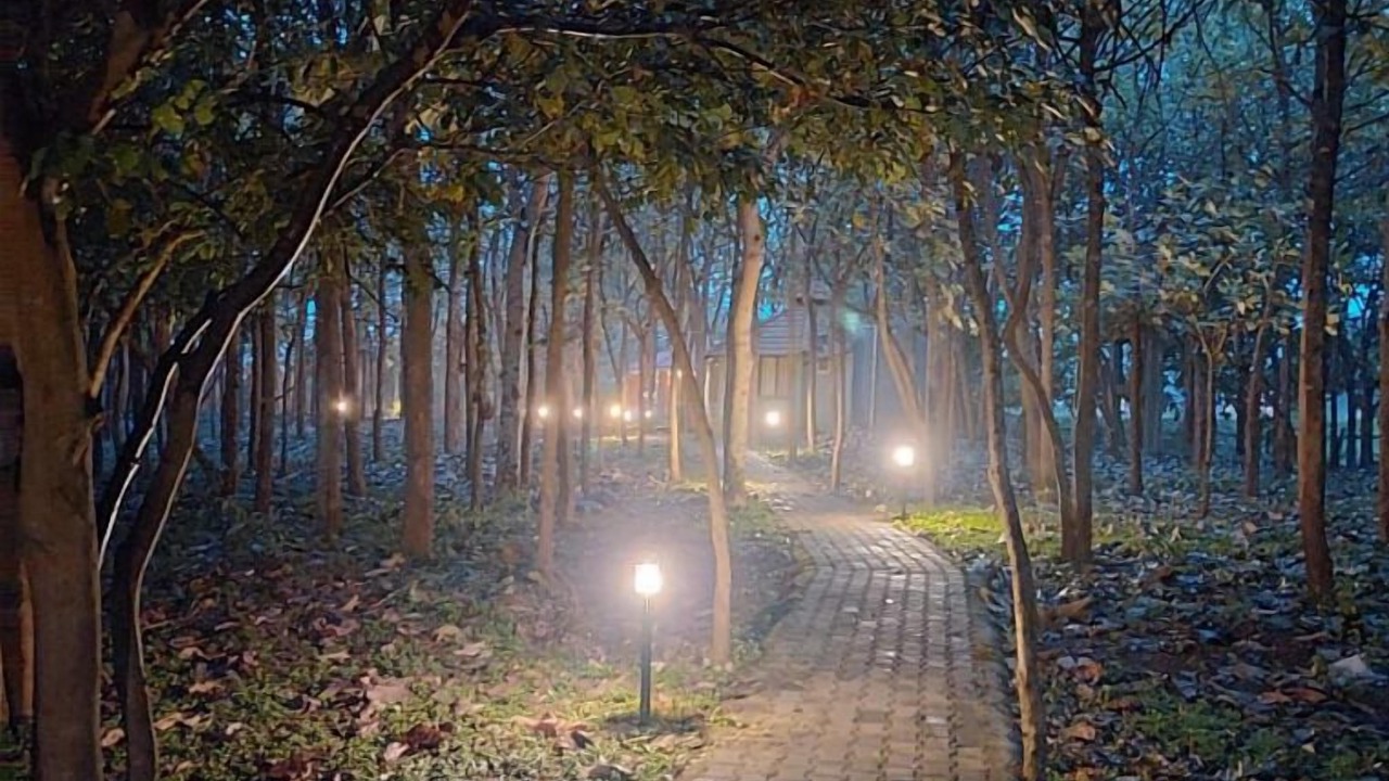 Photo of Outdoor in Bandipur