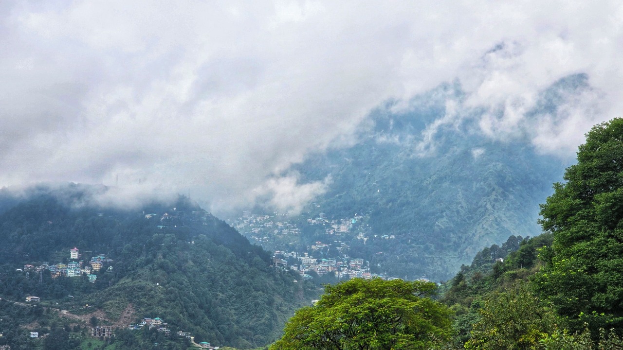 Photo of Others in Dharamshala