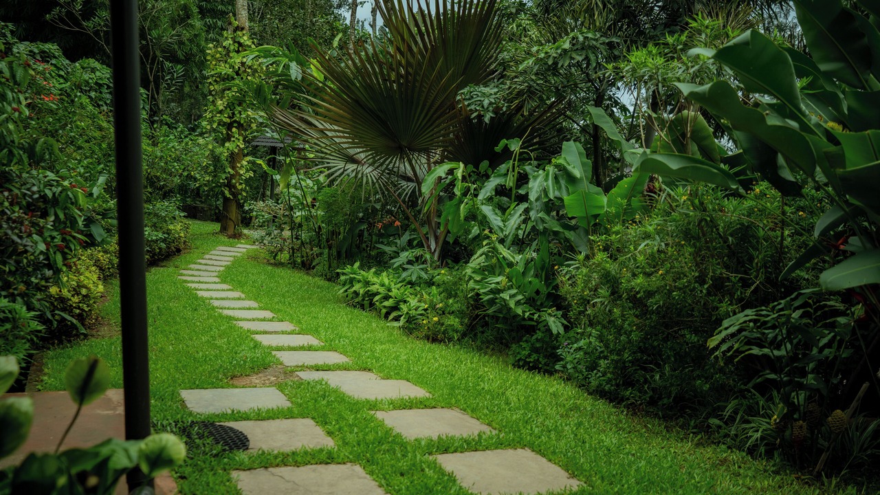 Photo of Outdoor in Sangameswarpet