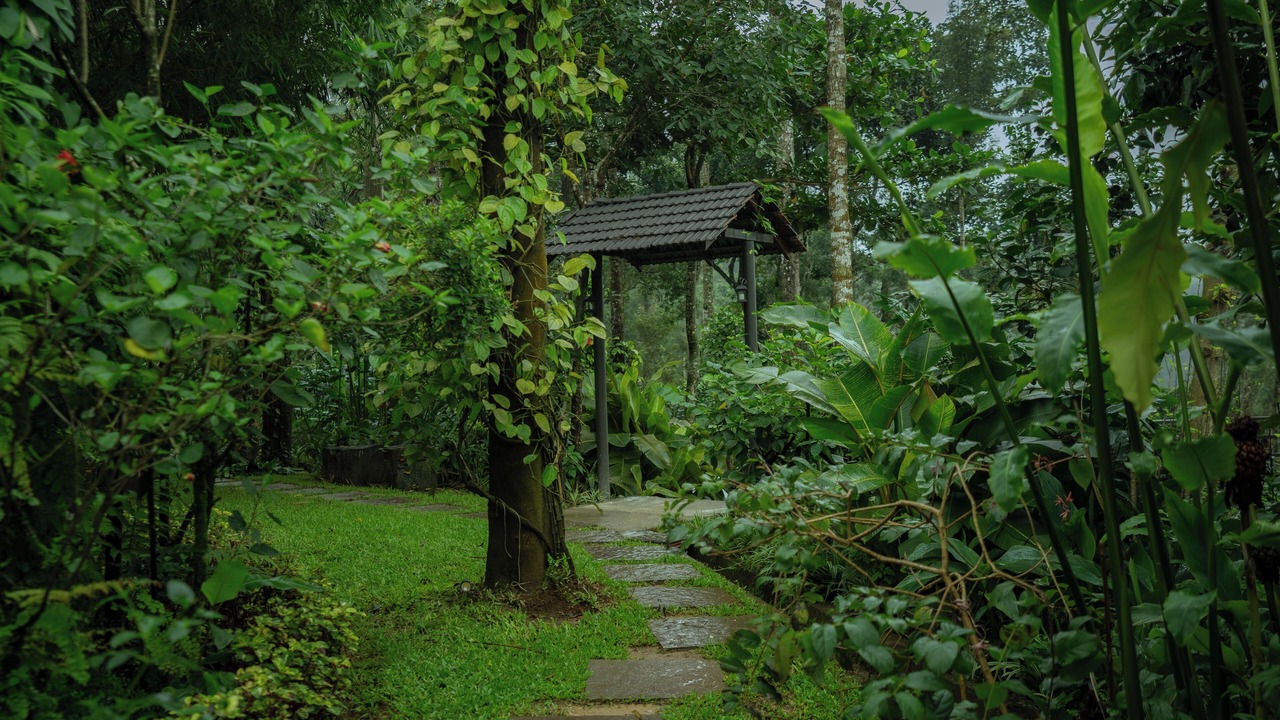 Photo of Outdoor in Sangameswarpet