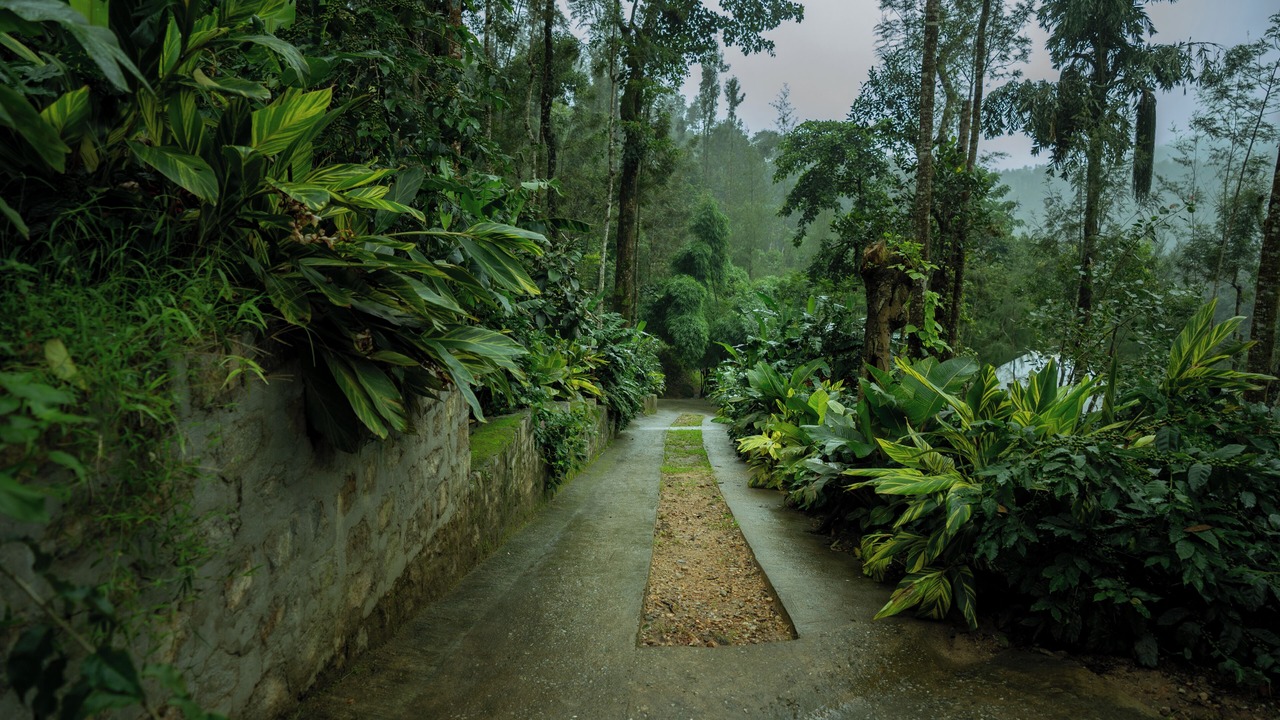 Photo of Outdoor in Sangameswarpet