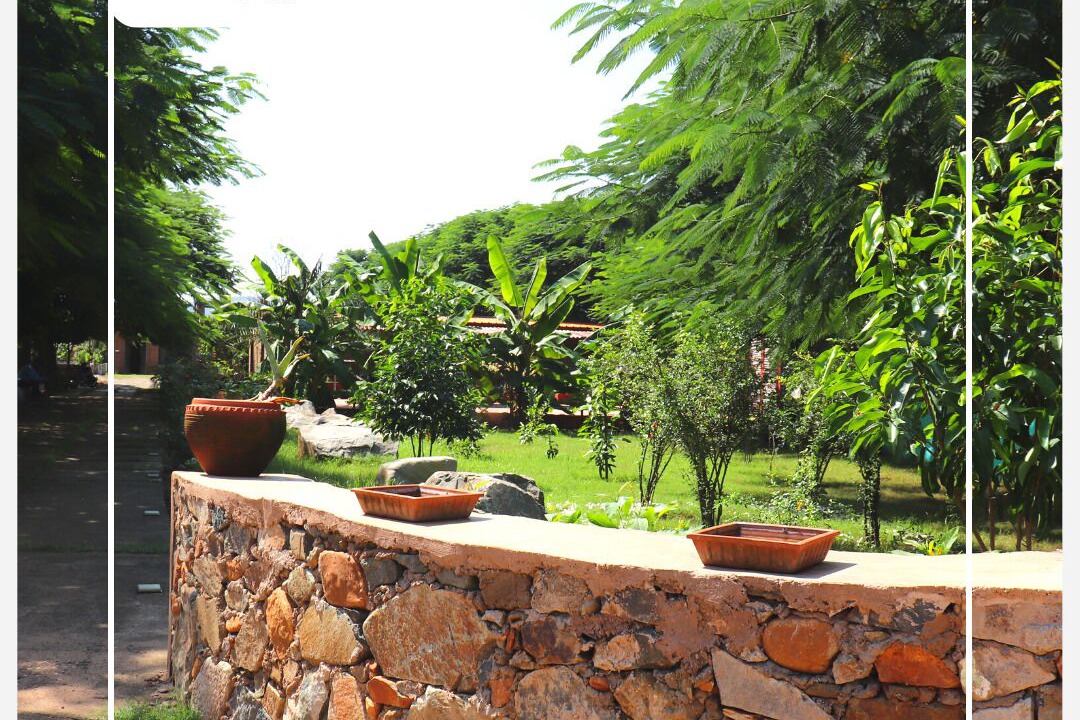 Photo of Outdoor in Sariska