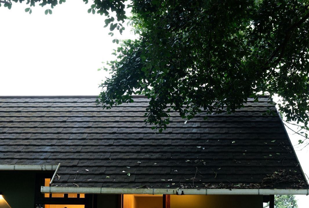 Photo of Outdoor in Vayittiri