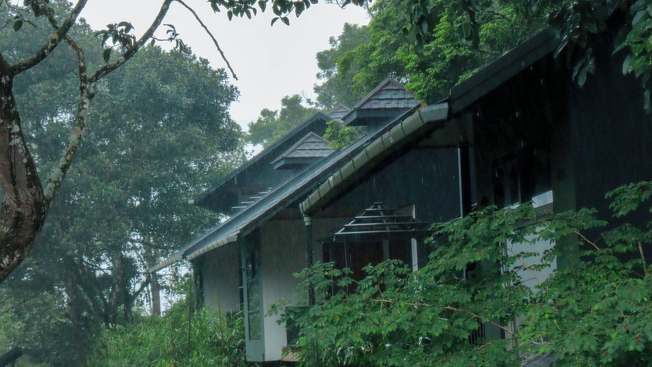 Photo of Outdoor in Vayittiri