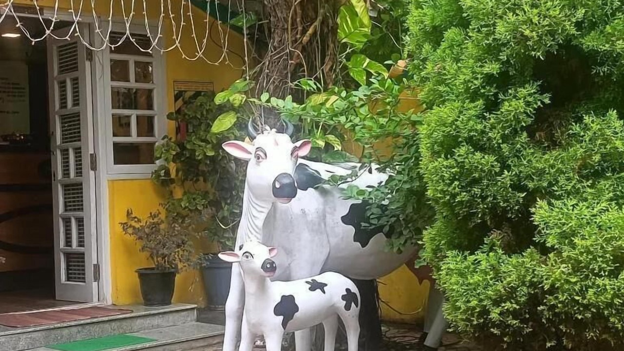 Photo of Others in Mettupalayam