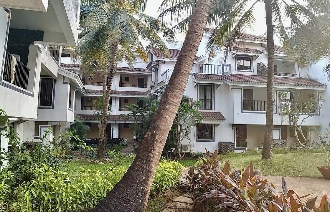 Photo of Outdoor in Arpora