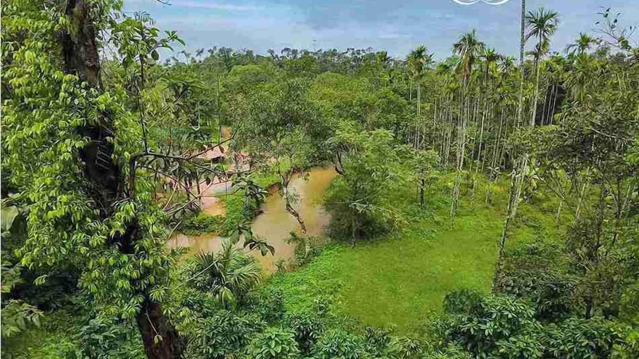 Photo of Outdoor in Sakleshpur