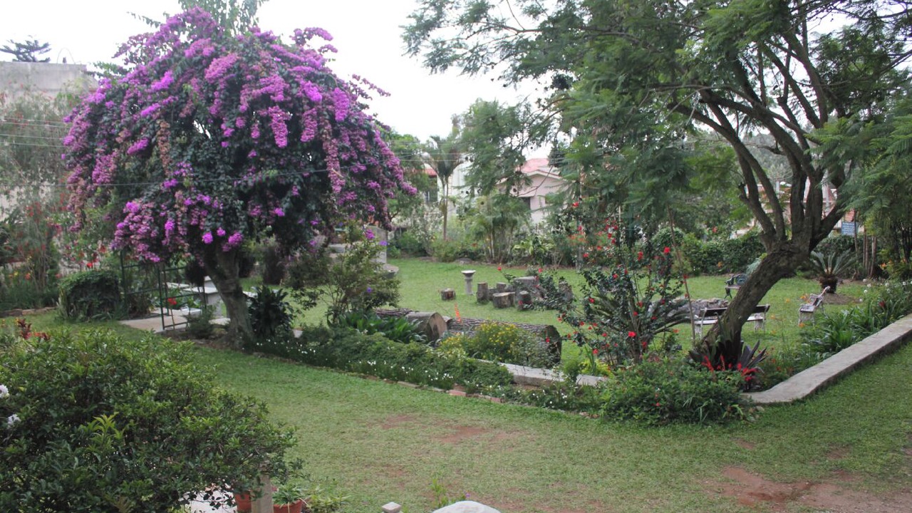 Photo of Outdoor in Yercaud