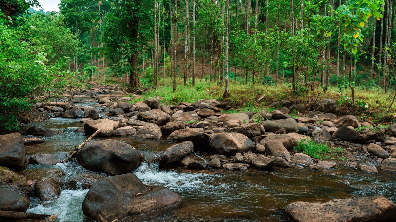 Photo of Outdoor in Chikkamagaluru