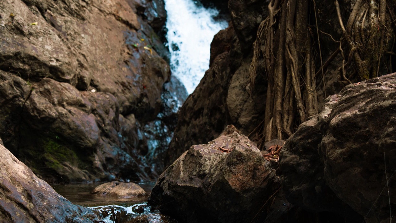 Photo of Outdoor in Chikkamagaluru