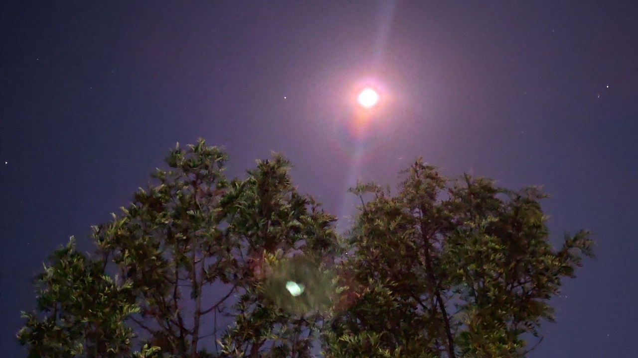 Photo of Patio Balcony in Yercaud
