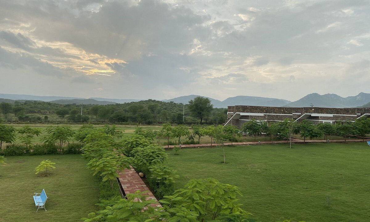 Photo of Others in Sariska