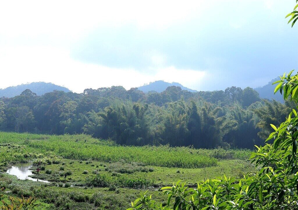 Photo of Outdoor in Kumily